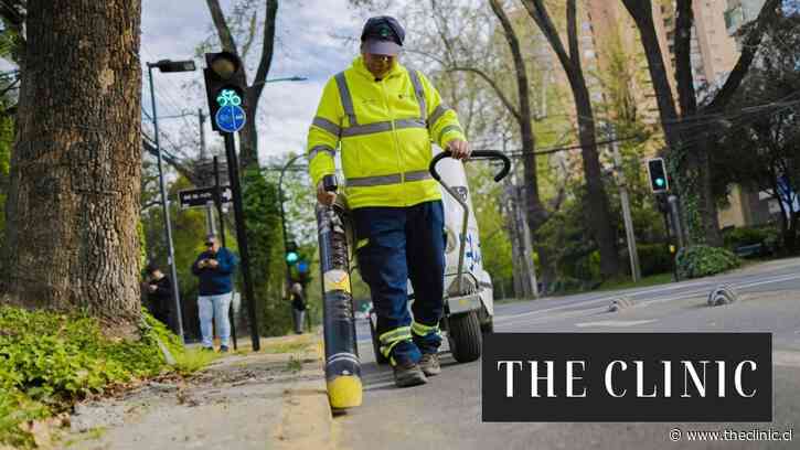 El “cazafantasmas” de Providencia: el hombre que recorre las ciclovías aspirando el polvillo de los plátanos orientales