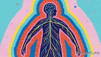 An Alternative Explanation Of Consciousness