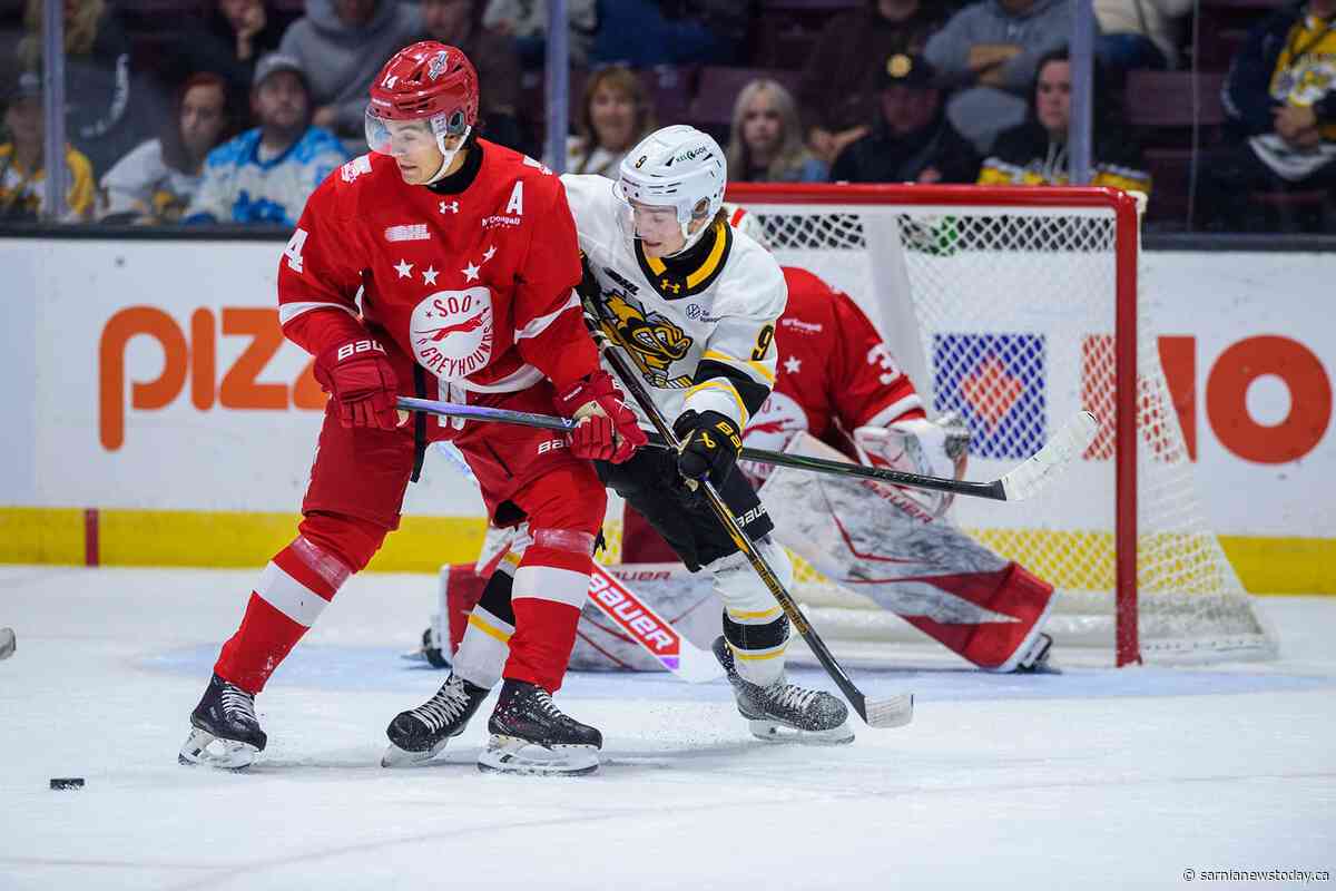Soo beat the Sting 4-3