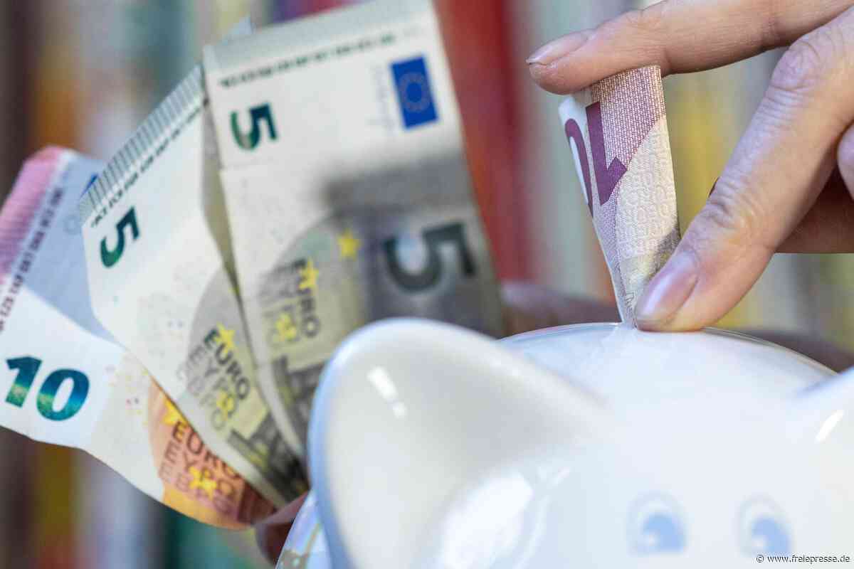 Für 100.000 Euro: Externes Unternehmen soll Spar-Programm für Plauen erarbeiten