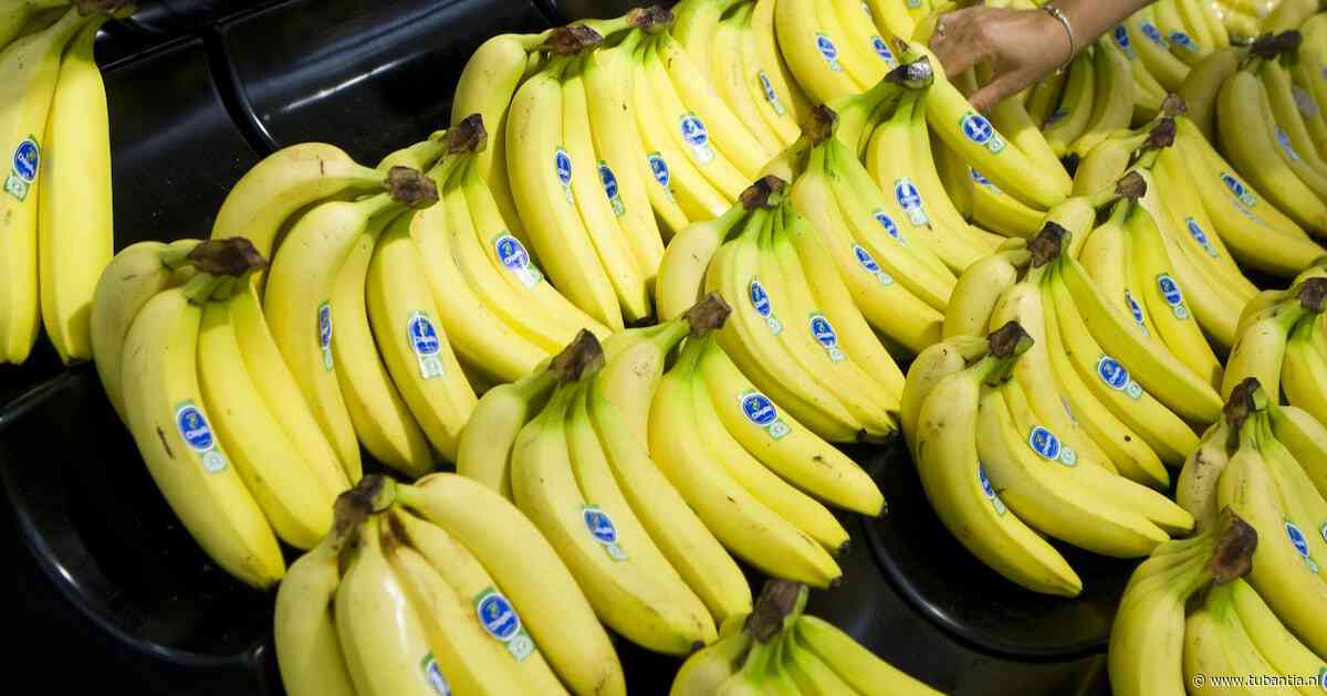 Hoe je brein de knoop doorhakt als je een keuze moet maken, bijvoorbeeld welke banaan je koopt