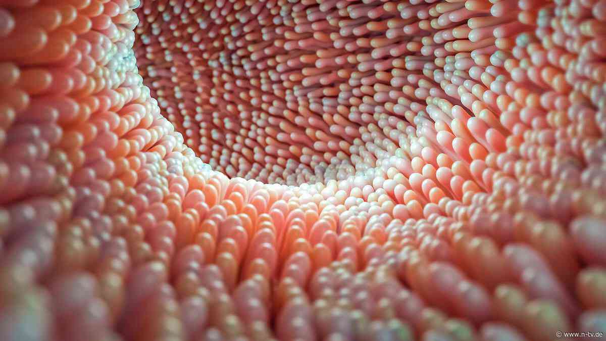 Gefahr für das Mikrobiom: Zucker kann während Antibiotika-Einnahme den Darm zusätzlich schädigen