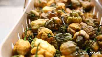 Turning up the heat with the hottest of the hot peppers: Jasmine Mangalaseril