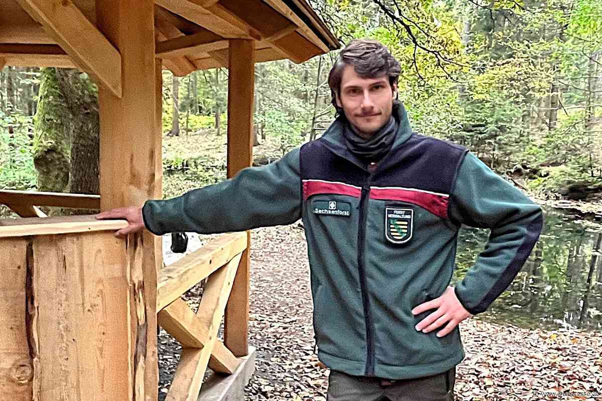 Heinsdorfergrund: Sachsenforst lädt zur Waldexkursion ein