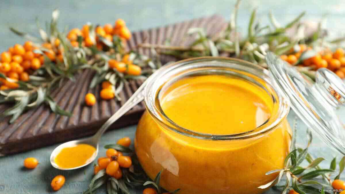Vitaminboost beim Frühstück: Sanddornmarmelade einfach selber machen