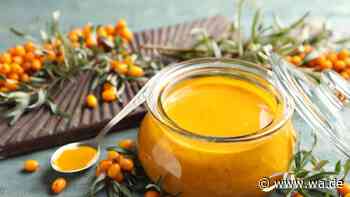 Vitaminboost beim Frühstück: Sanddornmarmelade einfach selber machen