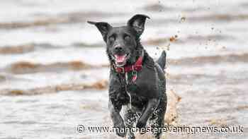 All the north west areas with new rules for dog walkers this October