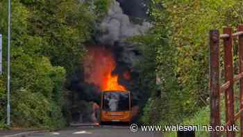 Passengers evacuated as bus bursts into flames