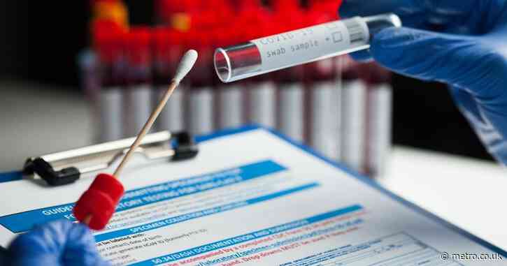 ‘American Covid’ strain warning after cases surge in England