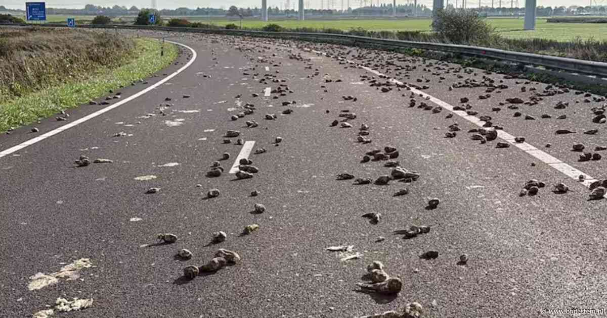 Boer verliest twee ton bieten bij Goes, weg blijft nog uren afgesloten