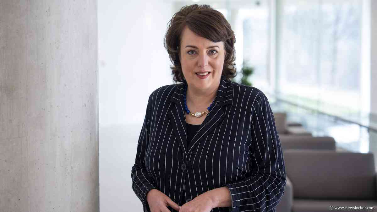 TenneT-baas ziet industrie graag naar Nederlandse kust verhuizen: ’Daar is genoeg aanbod van duurzame energie, maar te weinig vraag’