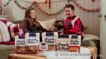 'Perfect pooch present' now £10 is an 'absolute winner' even 'fussy Dachshunds love it'