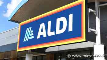 New Aldi £20 item 'perfect in any room' similar to 'luxury' £150 John Lewis option