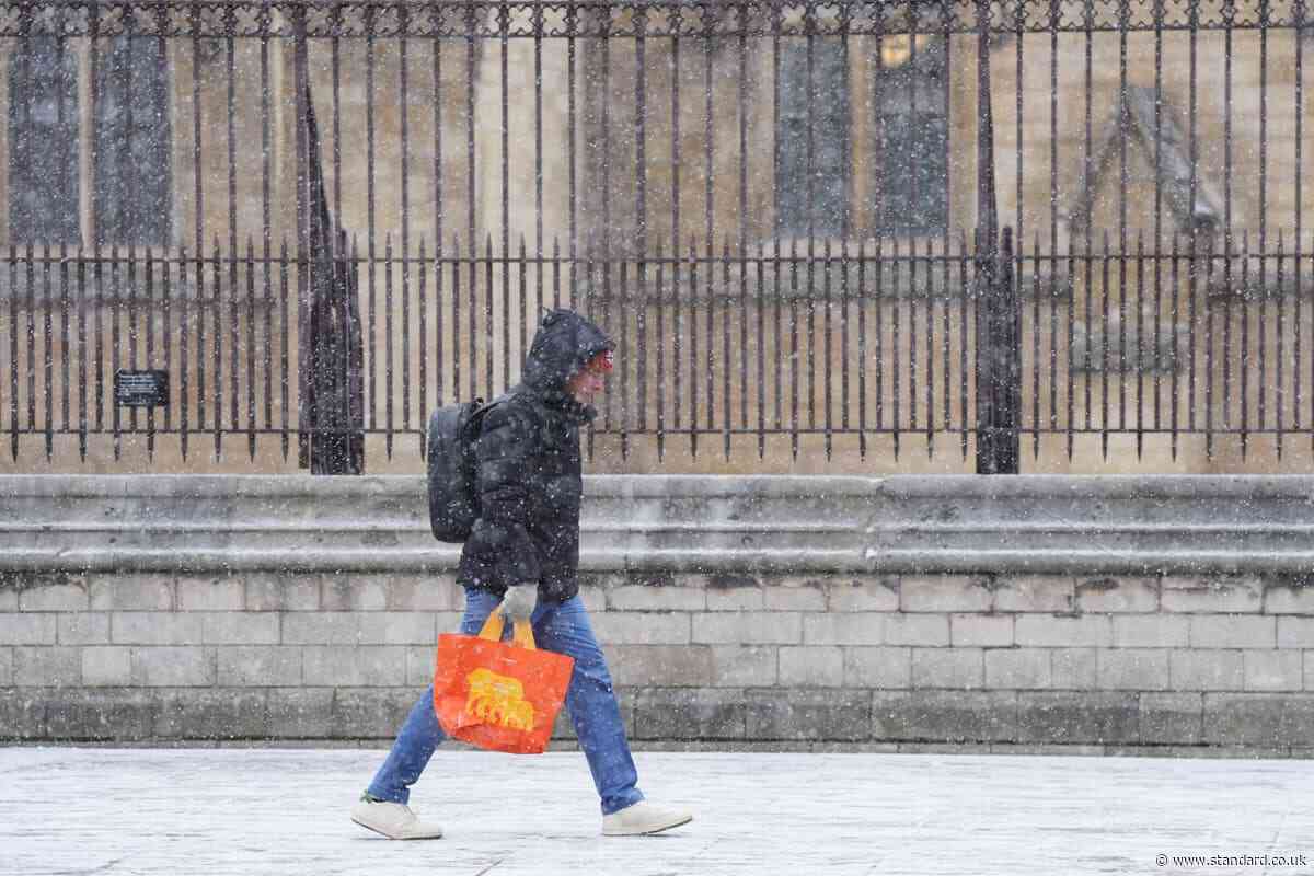 Londoners advised to stockpile three days of food as fears grow over polar vortex