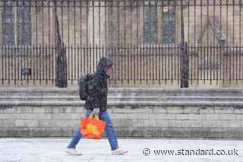 Londoners advised to stockpile three days of food as fears grow over polar vortex