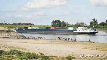 Binnenvaartschip dat door laag water gestrand was op de Rijn vaart weer