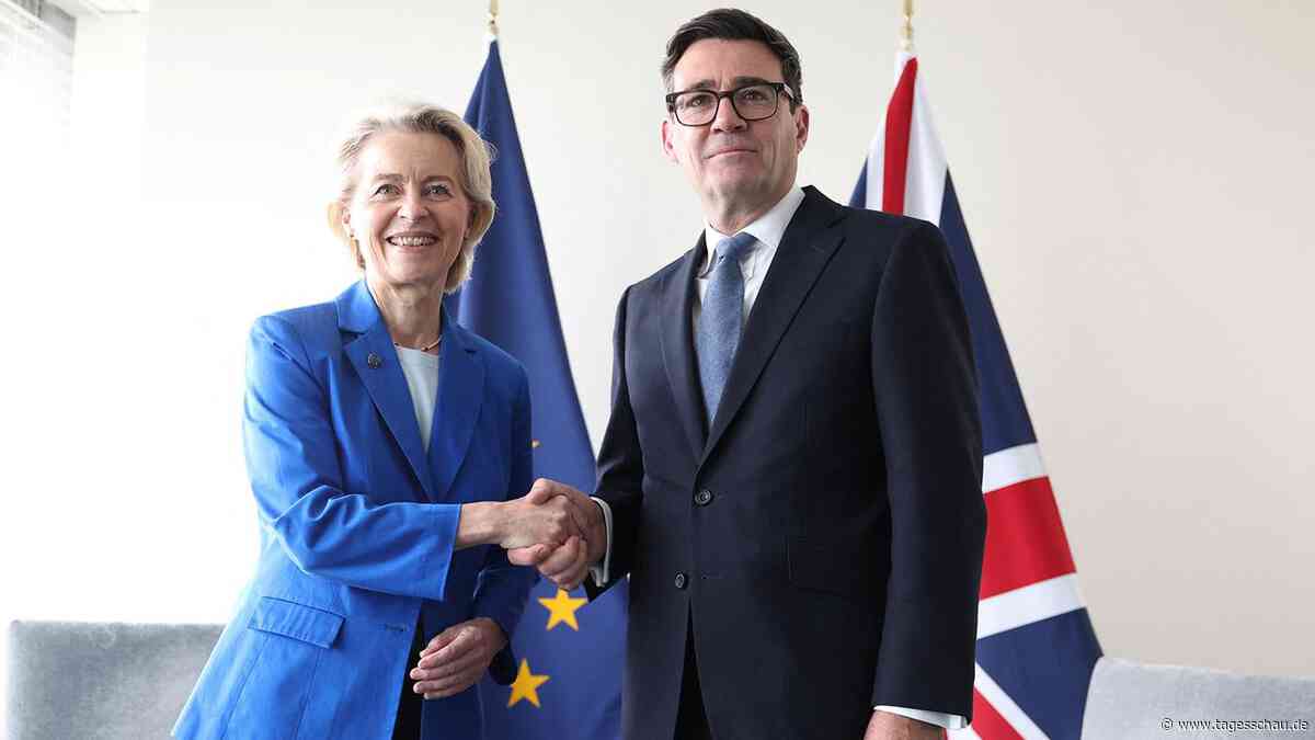 Großbritanniens Zusammenarbeit mit der EU: Bye-bye, Brexit?