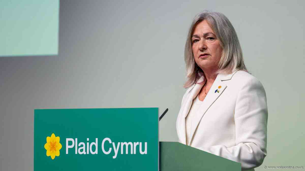 Plaid Cymru say Wales couldn't afford Brexit and call for UK to rejoin the EU