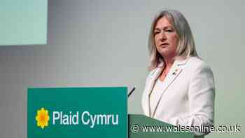 Plaid Cymru say Wales couldn't afford Brexit and call for UK to rejoin the EU