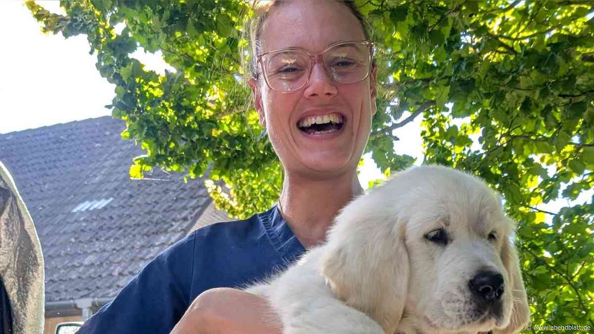 Verfilztes Fell, nervöser Hund: Diese 5 Profi-Tricks sollten Halter kennen