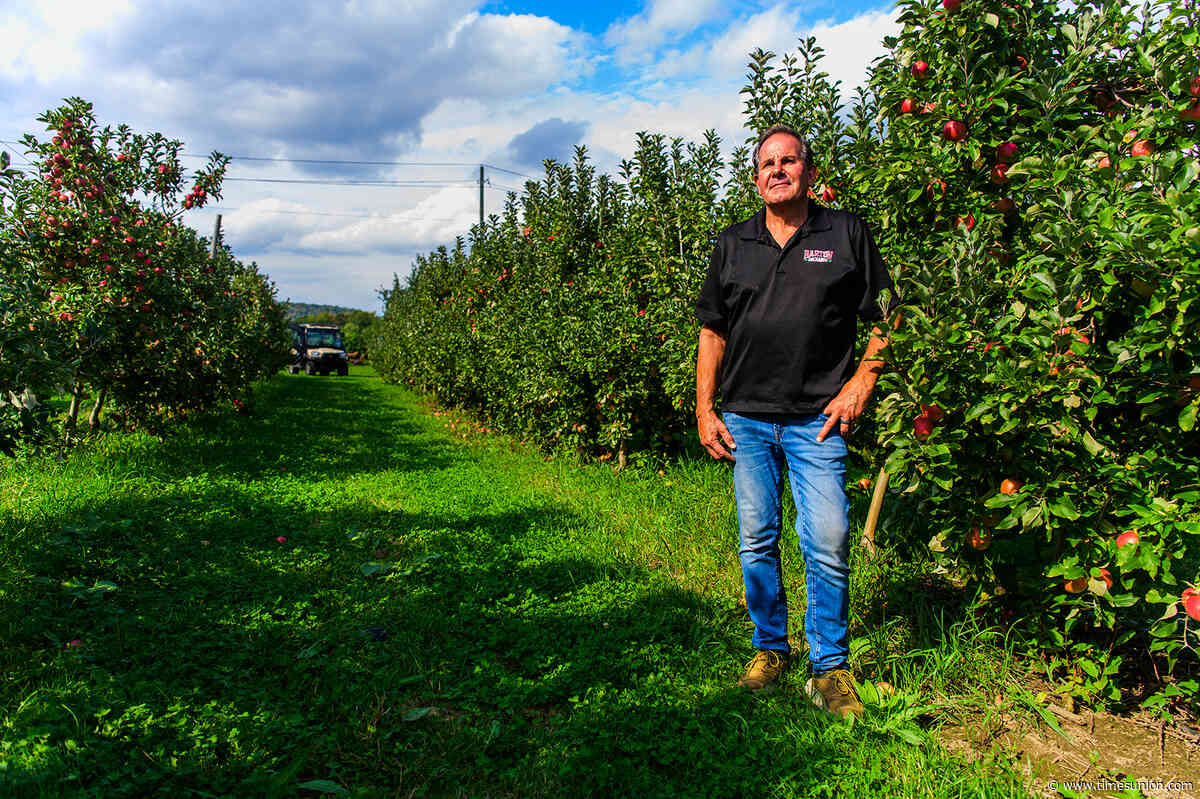 Damaging frost diminishes apple selection at some Hudson Valley orchards