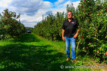 Damaging frost diminishes apple selection at some Hudson Valley orchards