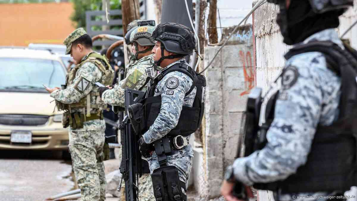 Chihuahua in Kampfmontur: Der kleine „Comando“ macht beim Militär Karriere