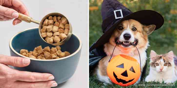 Best Chewy promo codes in October 2026: New customer offer and treat deals