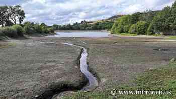 Environment Agency warning as rain 'nowhere near enough' to help steer UK away from drought