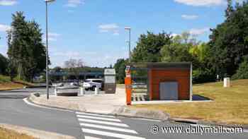 Man is found shot dead in British tradesman's van carrying 10 illegal migrants at French motorway rest stop
