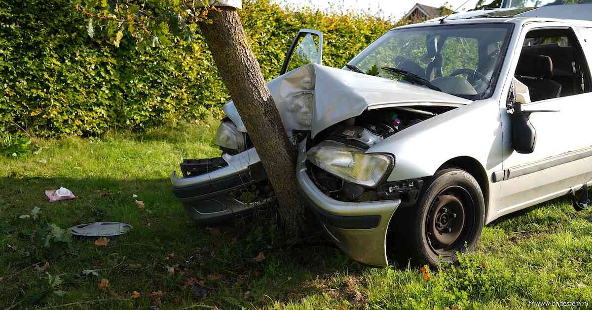 Auto botst tegen boom in Alphen, een gewonde naar ziekenhuis