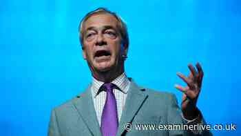 Nigel Farage 'not listened to' as Ann Widdecombe murder accused charged with terror plot