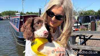 Dog in a 'bad way' rescued by St Helens family from filthy house with 'unbearable' smell