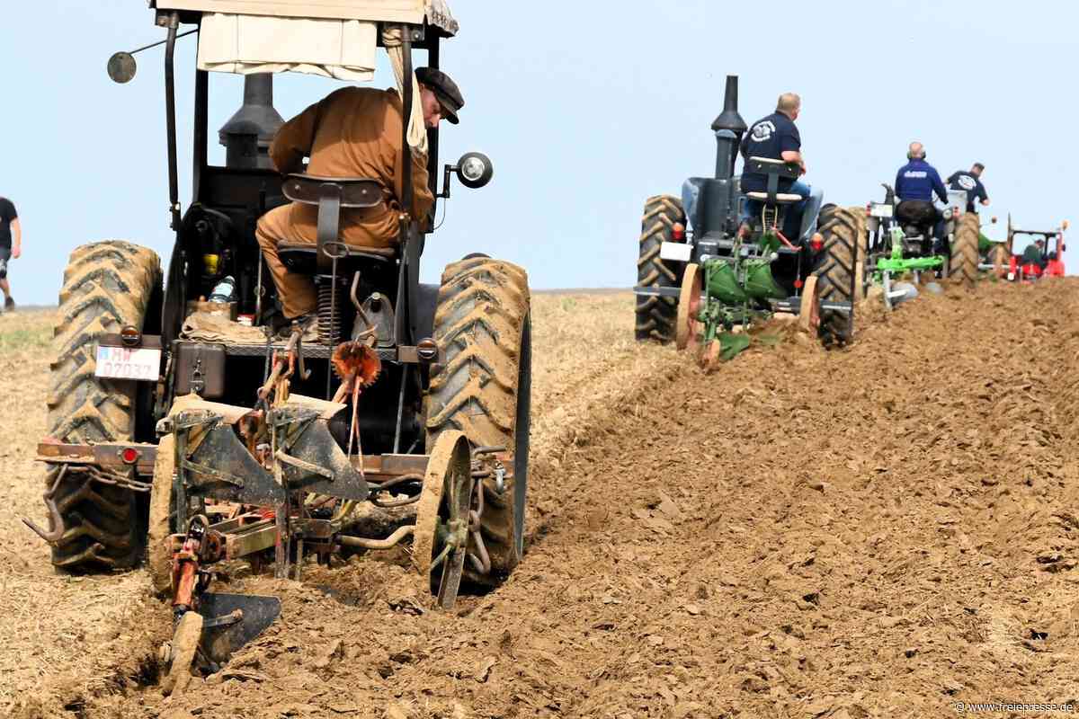 Wo Lanz und Deutz wieder pflügen: Historische Technik tuckert in Berbersdorf übers Feld
