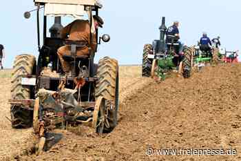 Wo Lanz und Deutz wieder pflügen: Historische Technik tuckert in Berbersdorf übers Feld