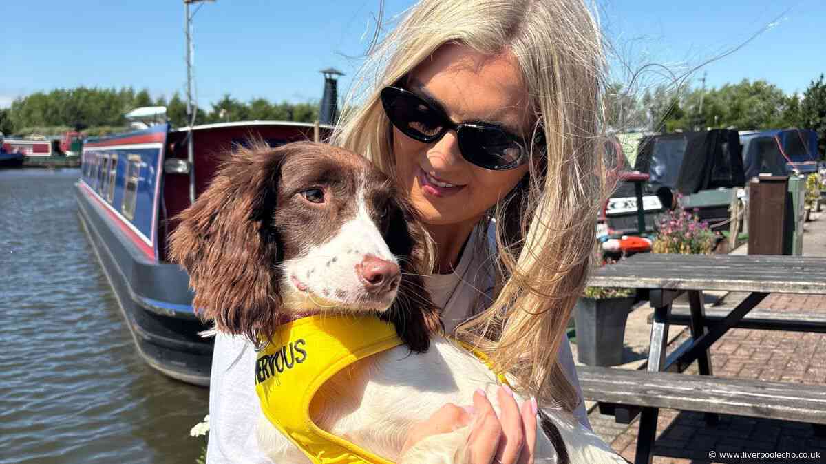 Dog in a 'bad way' rescued from filthy house with 'unbearable' smell by St Helens family