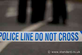 Man shot dead in “senseless act of violence” – police say