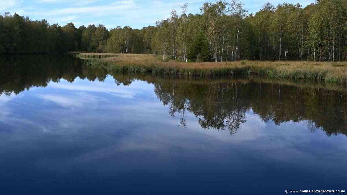 Bedrohtes Naturwunder: Klimawandel gefährdet Rotes Moor in der Rhön