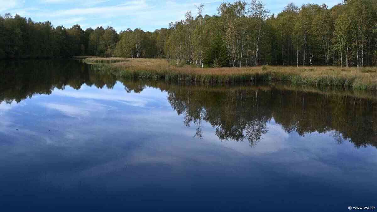 Bedrohtes Naturwunder: Klimawandel gefährdet Rotes Moor in der Rhön