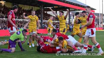 Dragons v Scarlets player ratings as Wales coaches get reminder and youngster shines