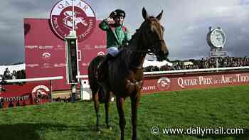 CALUM McCLURKIN: Keep Graffard the Great on side for Arc day... and Daryz can be the shining diamond of a strong squad