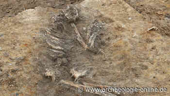7.000 Jahre alte Siedlung und ältestes Grab im Leipziger Stadtgebiet entdeckt
