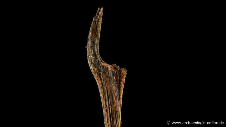Reste von über 10.000 Jahre alten mittelsteinzeitlichen Holzkonstruktionen im Arendsee gefunden