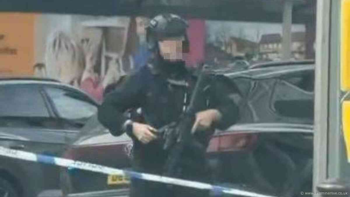 Manhunt as armed police discover dead dog after woman assaulted