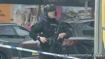 Manhunt as armed police discover dead dog after woman assaulted