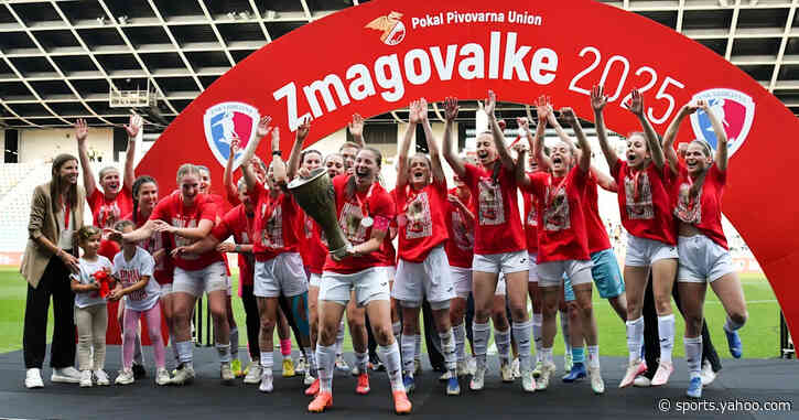 ŽNK Ljubljana: The Slovenian cup winners fighting for stability