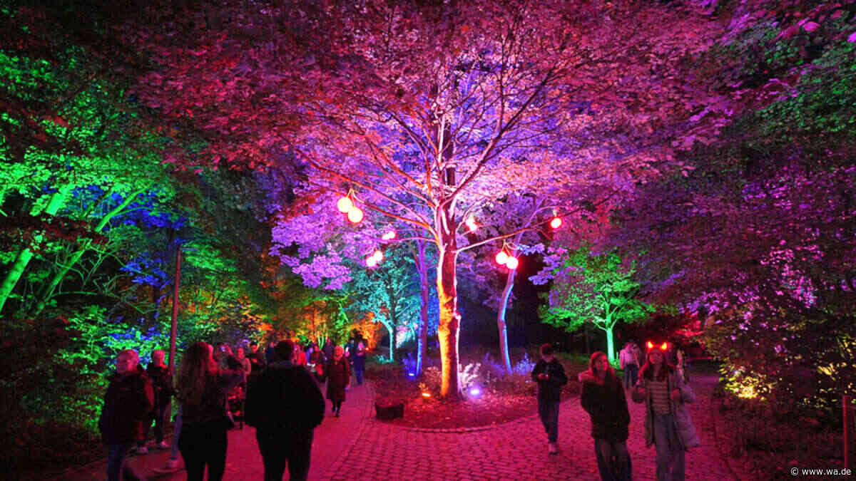 Bunte Illuminationen und mehr: Sechs Lichterfeste in NRW