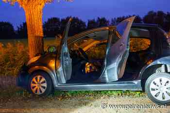 Auto met drie inzittenden botst tegen boom