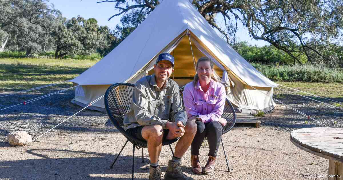 How an outback station diversified and reinvented itself twice to survive