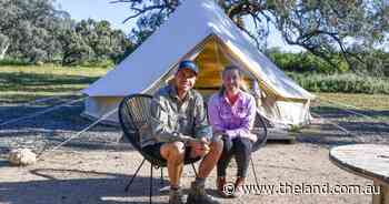How an outback station diversified and reinvented itself twice to survive